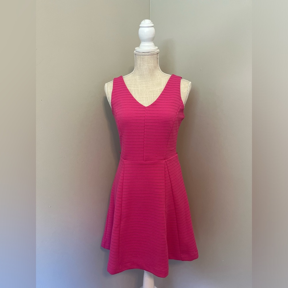 Metaphor Pink Fit & Flare Dress